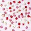 Linda Crema Fresa Dibujos Animados Arte de Uñas Joyería Resina Estéreo Portátil Accesorios para Uñas Aretes DIY Pasador Pequeños Accesorios