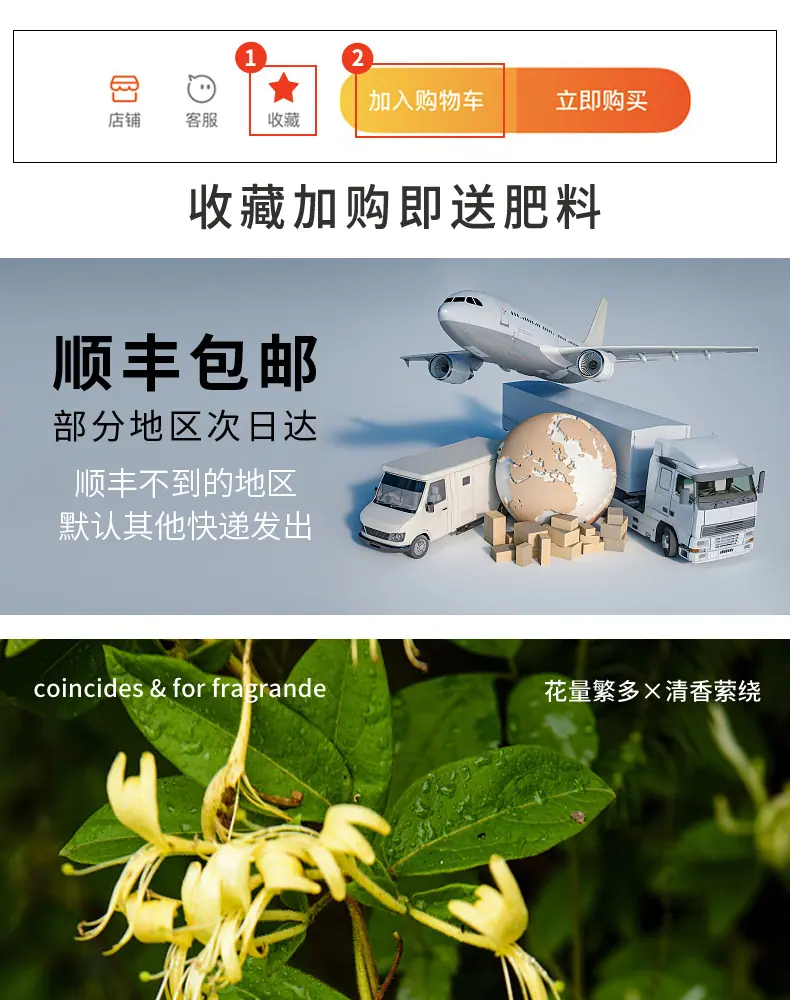 详情图片_02