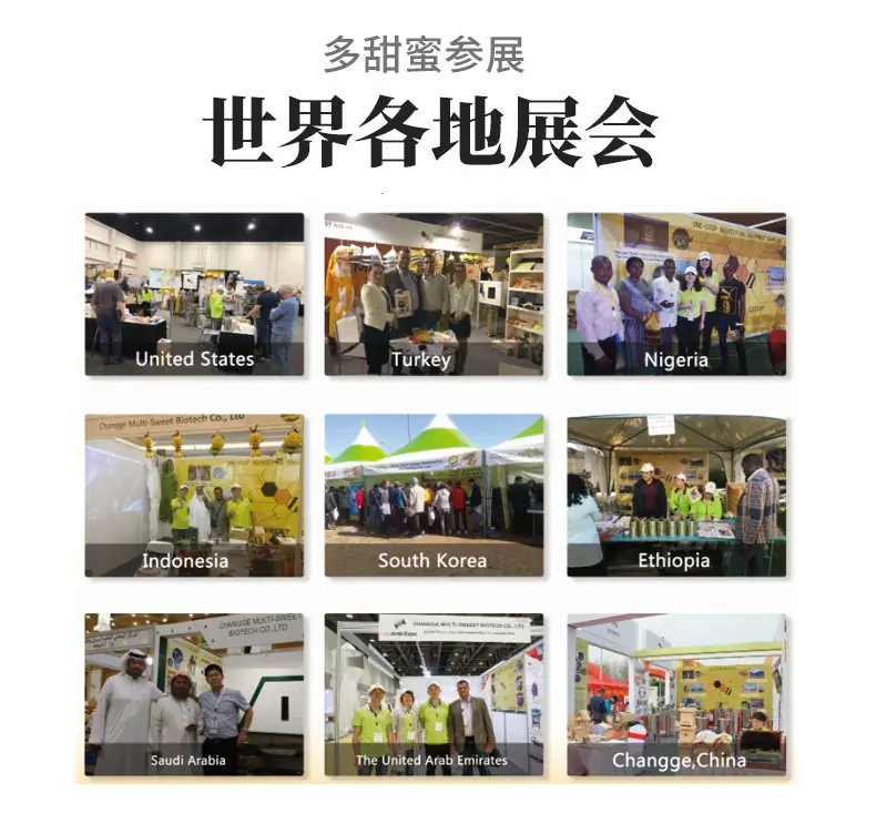 详情 多地展会
