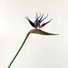 Ave del Paraíso de Caucho Artificial de Alta Calidad, Tallo Único, Planta Artificial Decorativa para Interiores y Exteriores, Decoración Suave y Paisajismo