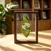 Atacado do fabricante moldura para escultura de folha de espécime de planta vidro transparente dupla face com caractere chinês "felicidade dupla" porta-retrato com clipe suporte de exibição peça decorativa moldura para caligrafia e pintura