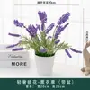 Flores Artificiales Adornos Nórdicos Decoración de Mesa de Café para Sala de Estar Flores Arreglo Floral de Escritorio para Mesa de Comedor Ramos de Flores de Seda Plantas en Maceta Adornos
