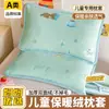Nueva Funda de Almohada Infantil de Felpa de Leche Gruesa de Peso Alto Clase A Antiestática Cálida Funda de Almohada Infantil Funda de Almohada de Guardería