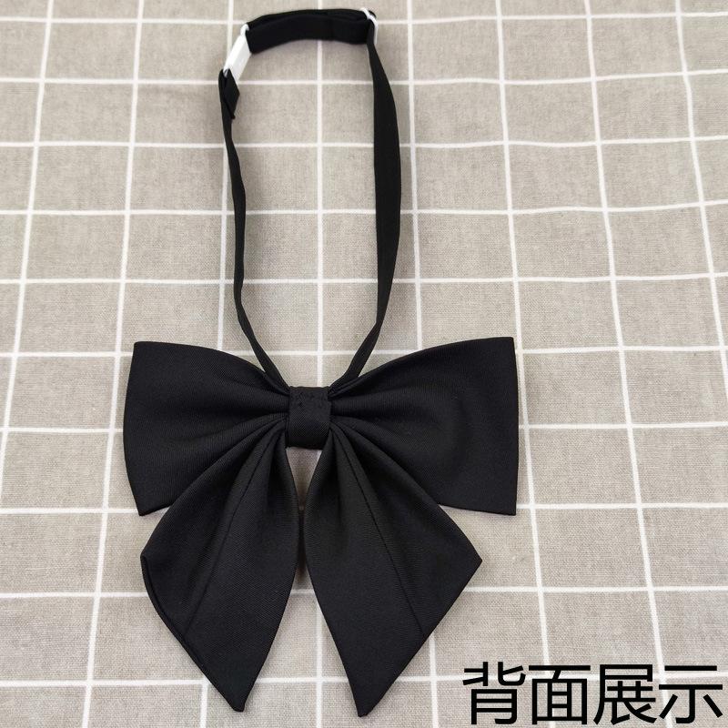 背面展示.jpg