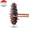 Pepino do Mar Instantâneo de Dalian, Pepino do Mar Congelado de Liaoning, Fresco e Borrachudo, Preço de Atacado Disponível para Dropshipping
