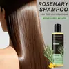 Comércio Exterior Transfronteiriço Shampoo, Shampoo Refrescante e Hidratante, Fragrância de Alecrim, Proteína Média, Totalmente em Inglês