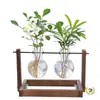 Jarrón de cristal creativo para arreglos florales de sala de estar, recipiente hidropónico transparente simple para plantas pequeñas, maceta de boca estrecha