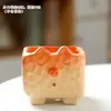 Criativo Fofo Desenho Animado Animal Suculenta Vaso de Flores Cerâmica Fosca Cerâmica Áspera Pintada Vaso de Carnudas Artesanato Liquidação Atacado
