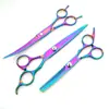Conjunto de Tesouras para Pet para Tosquia e Aparo, Tesoura Reta, Tesoura Curva, Tesoura de Desbaste, Tesoura para Pelo de Cachorro, Tesoura Profissional para Aparo