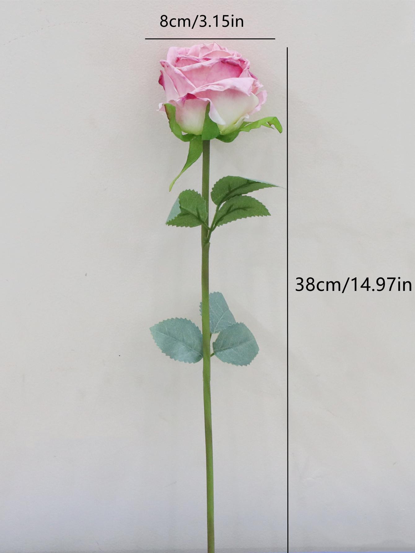 0W3A5989_副本