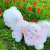 Ropa para Cachorros Primavera y Verano Delgada Talla Pequeña Perros Vestido de Princesa Caramelo Lolita Ropa para Gatos Oso Lindo