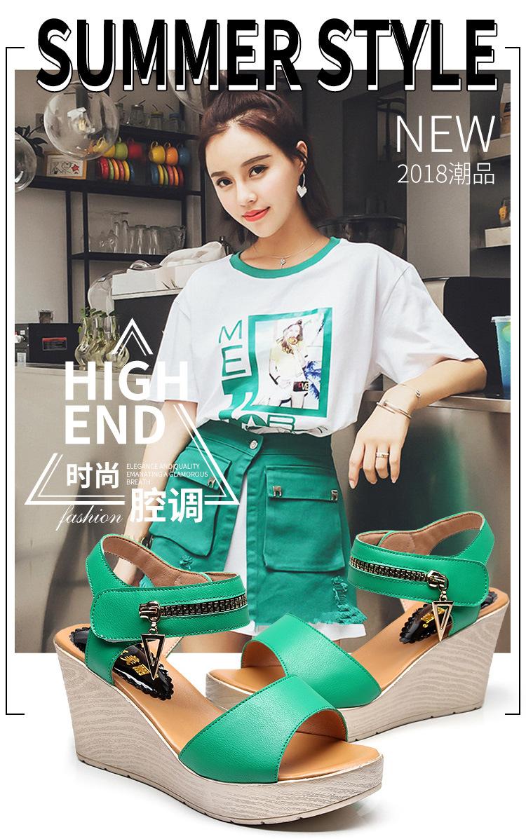 5595详情页标准_01.jpg