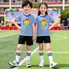 Conjunto de Camiseta de Verano de Dos Piezas para Niños para Actuaciones, Show del 1 de Junio Girasol Colorido Uniforme de Clase Atuendo de Moda