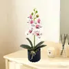 Piedra Negra Encaje Orquídea Mariposa Maceta Planta Verde Artificial Sala de Estar Fotografía Muebles Escritorio de Oficina Decoración Flores Artificiales