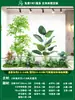 Paisagismo de Planta Artificial Varanda Arranjo de Paisagem Escada Interna Sob Árvore de Flores Artificiais Decoração Biomórfica Planta Verde Paisagismo Combinação