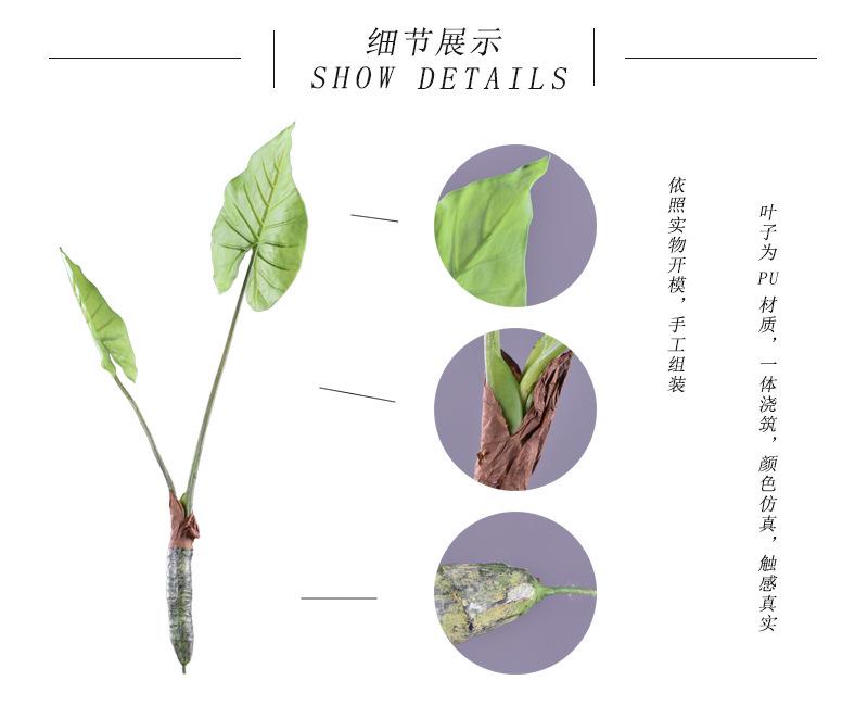 细节展示.jpg