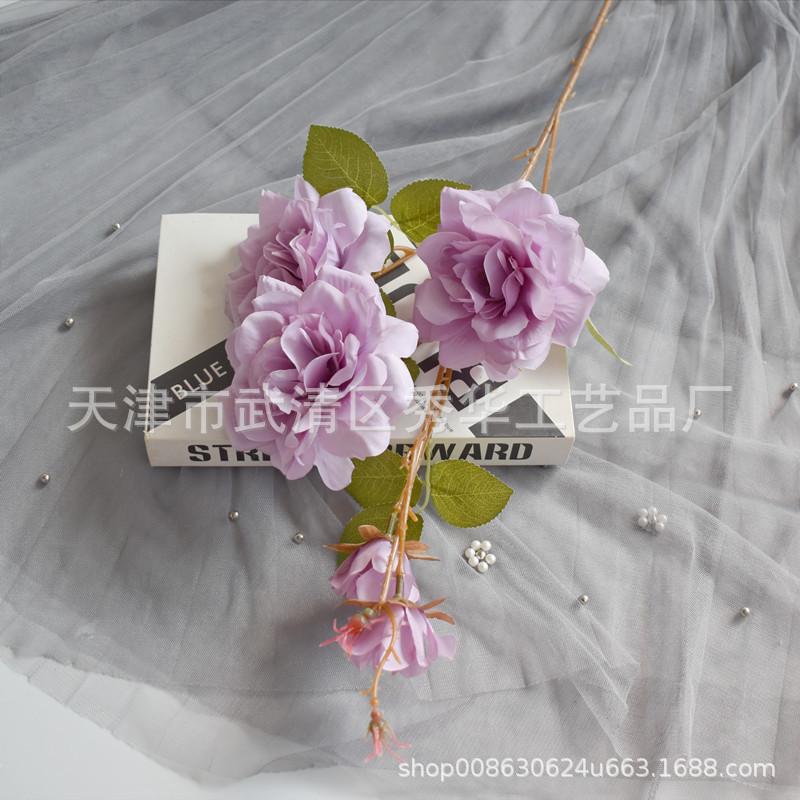 茶花浅紫色