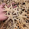 Estrellas de Mar Naturales Materiales Hechos a Mano DIY Adornos Decorativos Adornos Colgantes Estrella de Mar Plana de Cinco Puntas