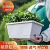 Macetas Largas Especiales para Plantar Verduras en Balcón, Caja Familiar para Plantar Verduras en Interiores, Maceta Grande Rectangular de Plástico para Flores, Especial para Cultivar Plantas