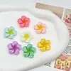 Nuevos Accesorios de Resina de Pegamento de Crema DIY de Plumeria Colorida para Zuecos, Pinzas para el Cabello, Aretes y Decoraciones de Fundas de Teléfono