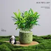 Árbol del Dinero Planta en Maceta Decoración Creativa de Planta para Escritorio Flor y Planta Verde para Oficina Adorno Hiedra Coco Rico Verde Bonsái Pequeño