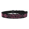 Collar para perro con cuerda bordada y LED luminoso, carga USB, advertencia nocturna, antipérdida