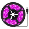 Lâmpada de Crescimento de Plantas USB Transfronteiriça com Luz de Preenchimento Monocromática 5V 2835 com Espectro Completo Lâmpada de Planta à Prova d'Água com Luz Roxa