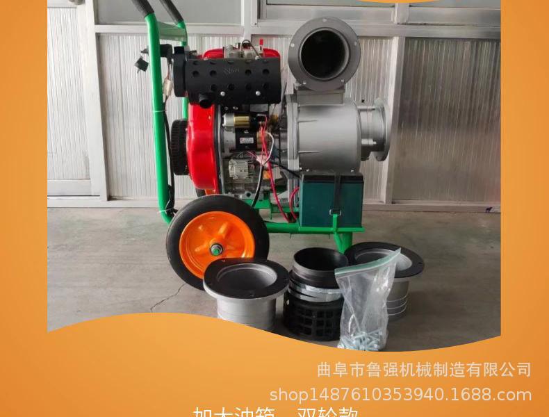 淘宝天猫黄色小清新风格龙眼水果详情页模板_08