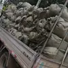 Tecido de poliéster tingido em urdume, malha de urdume, 250g, quadrado, 1,55 m - 2,2 m, tecido de malha de urdume, tecido estampado digital
