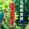 Comedero Colgante para Loros Tenedor de Frutas Cesta para Buscar Comida de Acero Inoxidable Utensilio Colgante para Pájaros Cesta de Comida