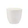 Atacado Simples Mudas Vaso de Flor Colorido de Plástico Verde Plantio Suprimentos de Jardinagem Plantio Vaso de Plástico para Mudas Vaso de Flor em estoque