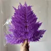 Hierba de Amante Flor Eterna Flor Real Natural Ramo de Flores Eternas Caja de Regalo para el Día de San Valentín con Arreglo Floral de Aromaterapia Especial al por Mayor