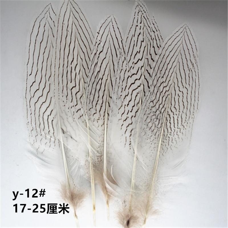 y-12#