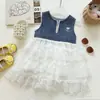 Vestido de Verano Nuevo Estilo 2026 para Niña, Patchwork de Mezclilla con Malla, Vestido Princesa para Bebé, Vestido de Pasteles sin Mangas para Niños