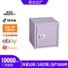 Gabinete de Escritorio de Acero Estilo Fresco Pequeño, Gabinete Pequeño con Cerradura de Combinación para Hogar y Dormitorio, Caja de Almacenamiento de Arte en Hierro con Cerradura de Combinación, Archivador
