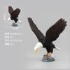 Modelo de Pássaro Simulado Transfronteiriço Coruja-das-Torres Águia Animal Selvagem Ave de Rapina Ornamento Decorativo Brinquedo