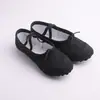 Zapatos de Baile Infantiles Carnosos de Suela Blanda Práctica Corporal Especial Ballet Yoga Baile Pies No Cansados Adulto Femenino Masculino Estilo Nuevo