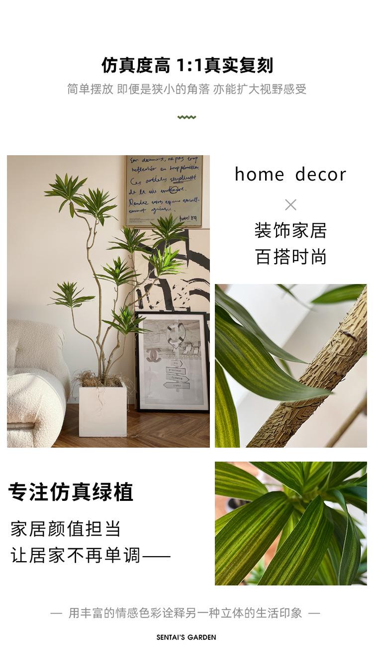 详情_03.jpg