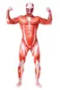 2025 Nuevo Producto Transfronterizo Halloween Ataque a los Titanes Body Impresión Digital 3D Adulto Cos Disfraz de una Pieza