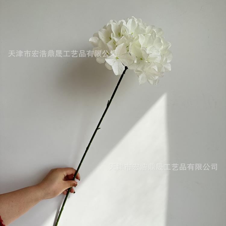 微信图片_202303081754098_副本