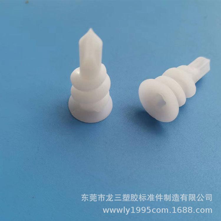 螺旋壁虎15-2.jpg