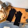 Com Lã Coreana Outono e Inverno Quente Cor Sólida Dopamina Etiqueta Pequena Luvas Espessadas Moda Feminina Versátil Dedos Livres Tela Sensível ao Toque