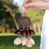 Cáscaras de Fruta Naturales, Cobre, Cuatro Semillas Interesantes Estilo Madera Natural, Kit de Materiales Hechos a Mano DIY de Frutas, Sonajeros Artísticos de Nicho, Regalos