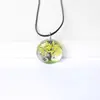 Colar Árvore de Flores Secas Corrente de Suéter Colar Estilo Literário Colar Simples Specimen de Gipsofila Colar de Pedra do Tempo