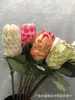 Impresión 3D de Simulación Longevidad Fruta Planta Tropical Flor Imperial Flor de Princesa de Sudáfrica Decoración de Boda Decoración del Hogar