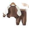 Conjunto de Roupas de Outono para Meninos 2025 Novo Bebê Casual Suéter Manga Longa Conjunto de Duas Peças Estilo Ocidental Roupas Infantis de Primavera e Outono