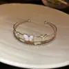 Pulsera de Hebilla Hueca de Doble Capa con Mariposa de Zirconia, Pulsera Minimalista Versátil Personalizada, Joyería de Lujo Ligero de Gama Alta al por Mayor
