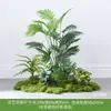 Planta Artificial Empilhada para Paisagismo Sob Escada, Samambaia & Pteri
