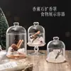 Recipiente de Exibição Multifuncional de Vidro Transparente Abajur para Aromaterapia Tampa para Alimentos Enfeites Decorativos para Casa Tampa Difusora de Pedra para Aromaterapia