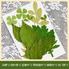 Flores Secas Transfronteiriças Estampagem Atacado Jardim de Infância Feito à Mão Adesivos de Folhas Reais DIY Foto Decoração de Rosto Espécimes de Plantas